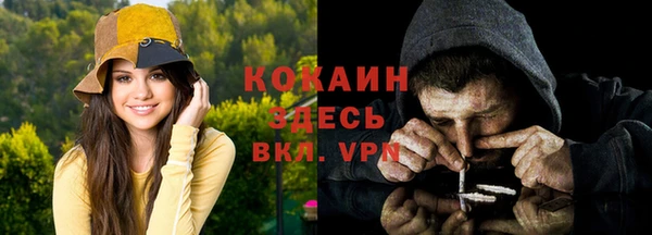 тгк Вяземский