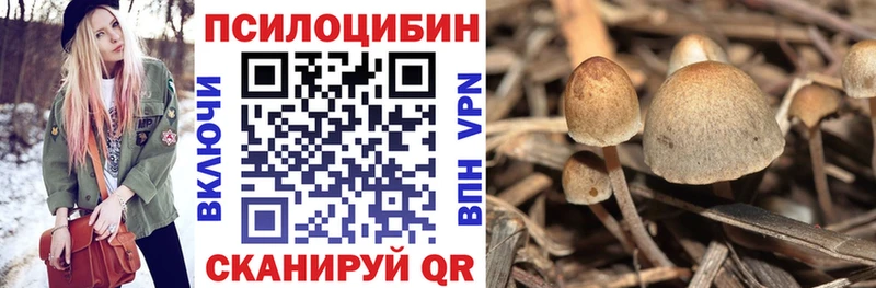 Галлюциногенные грибы мухоморы  купить   Гусь-Хрустальный 